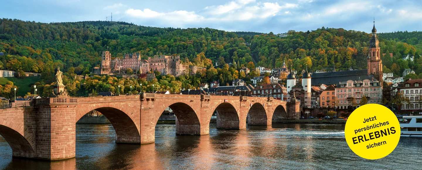 Schloss Heidelberg, Panoramaansicht