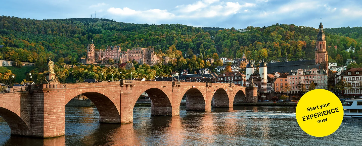 Motiv: Staaliche Schlösser und Gärten Baden-Württemberg, Illustration: JUNG:Kommunikation GmbH Heidelberg Castle, advertising banner for the app "Monument BW"