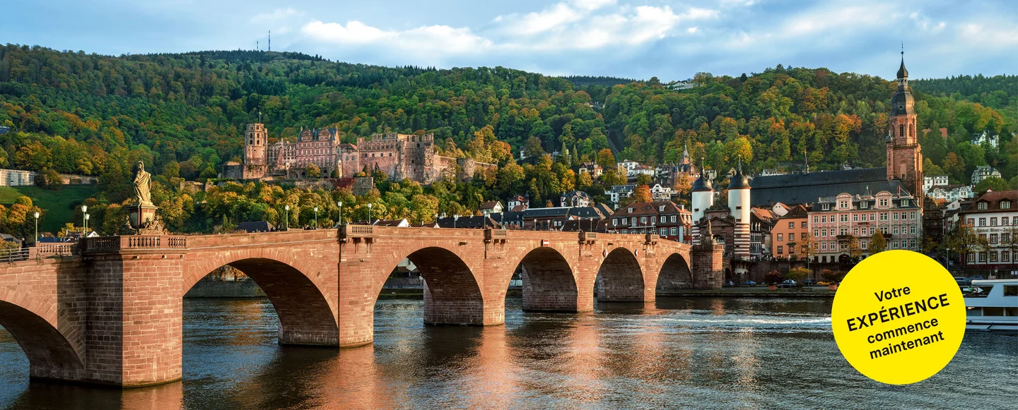 Château de Heidelberg, vue aérienne